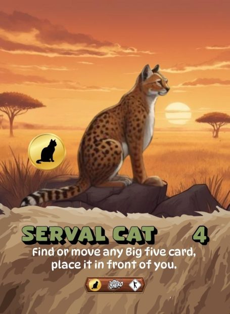 Coin Serval Cat