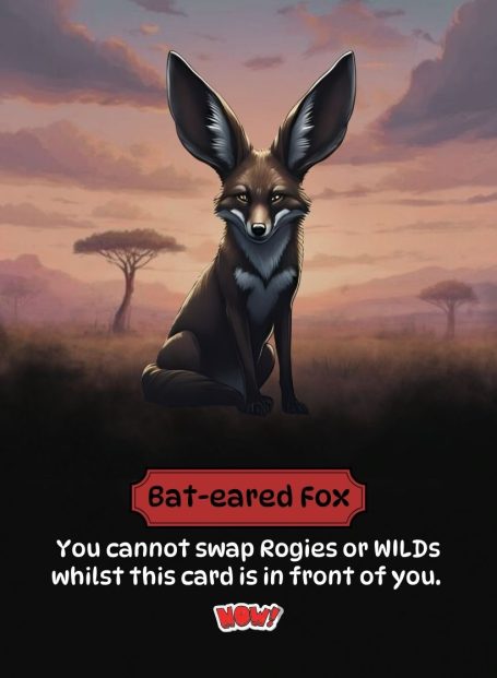 Bat-eared Fox